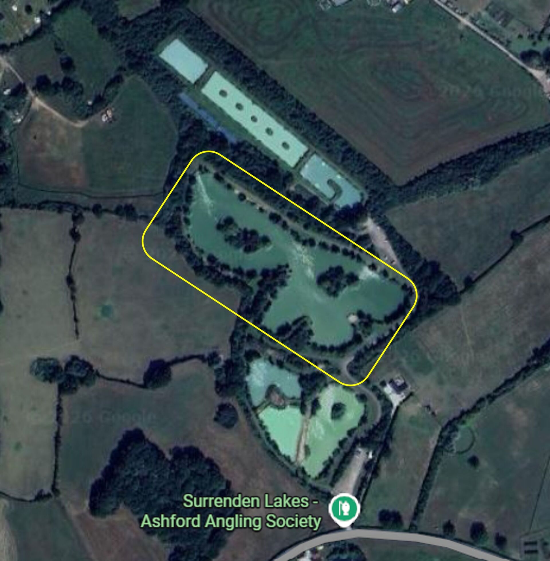 Mallard Lake at Ashford Angling Society Surrenden Lakes