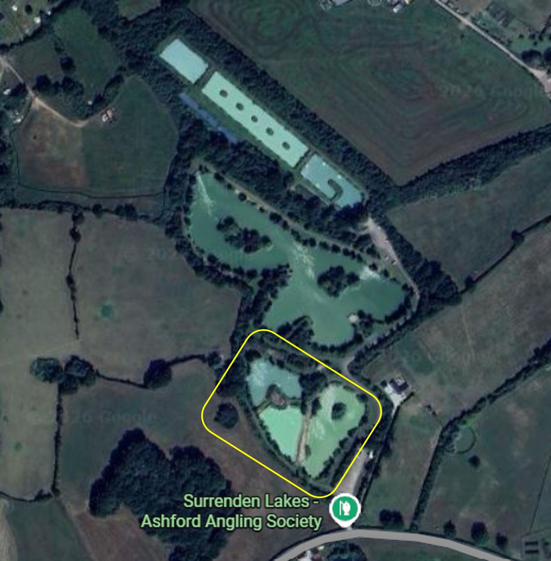 Moorhen Lake at Ashford Angling Society Surrenden Lakes